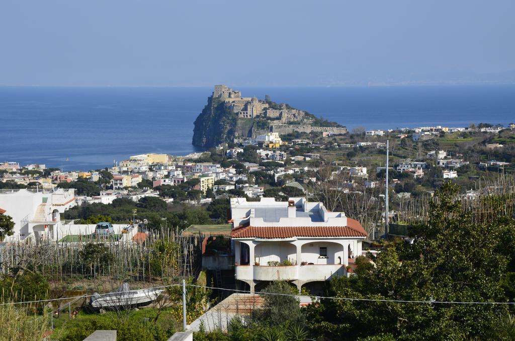 Hotel U Campagnuolo Ischia Exterior foto
